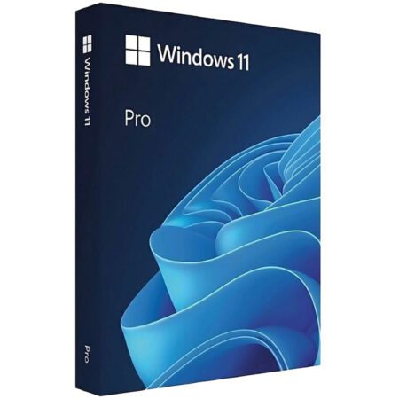 Windows 11 Pro